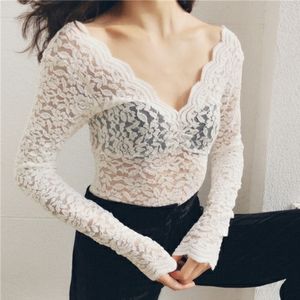 Zara Off-white Lace V-Neck Sheer Top Long Sleeves
